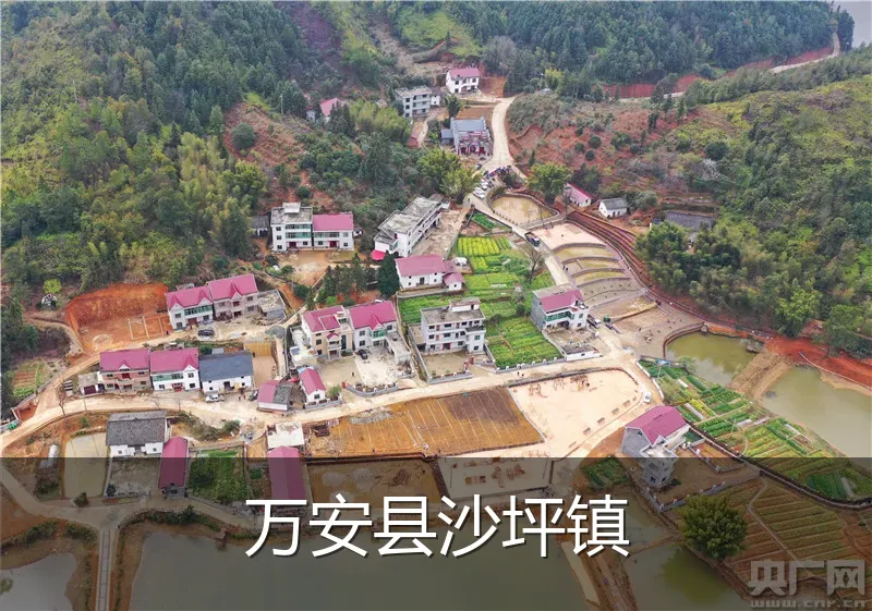 万安县沙坪镇